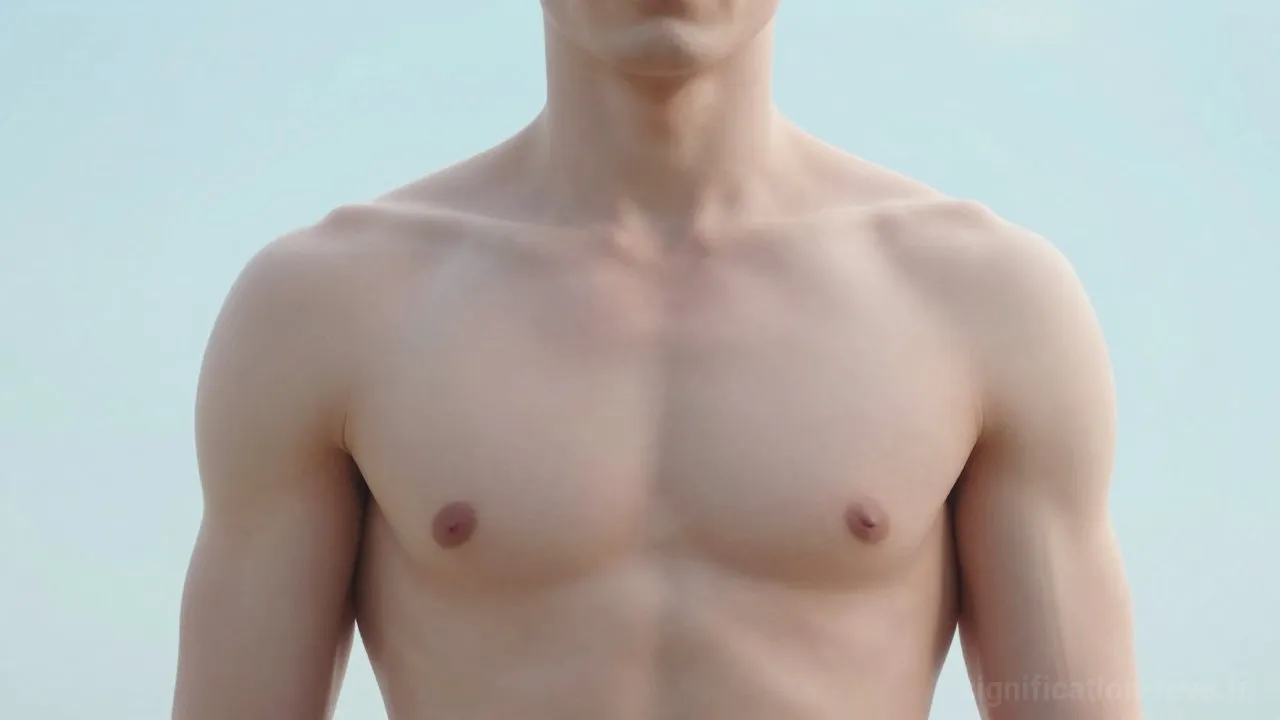 Rêver de Poitrine - Tableau de significations