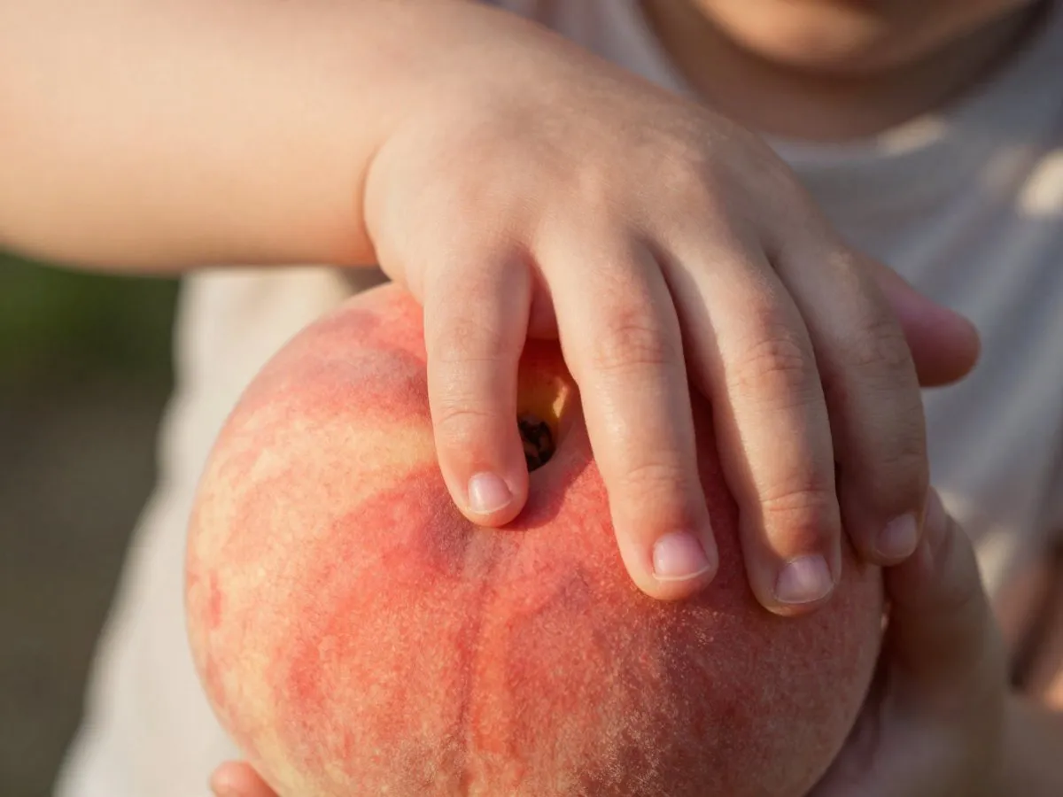 Signification de rêver de Morsure pour la vie quotidienne, l'amour et le travail